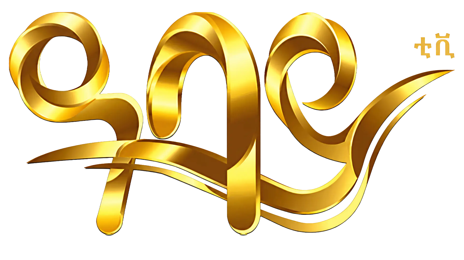 Media Partner